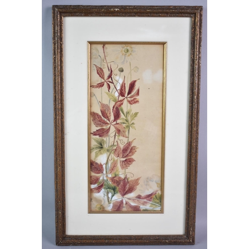 185 - A Framed Botanic Watercolour, 14x33cms