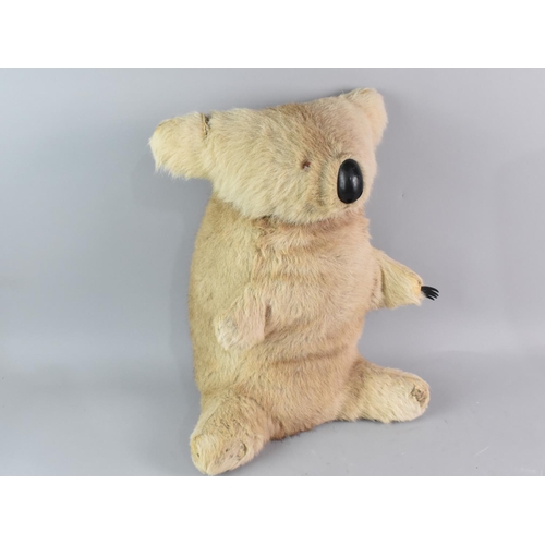 277 - A Large Koala Bear Soft Toy, 42cms High