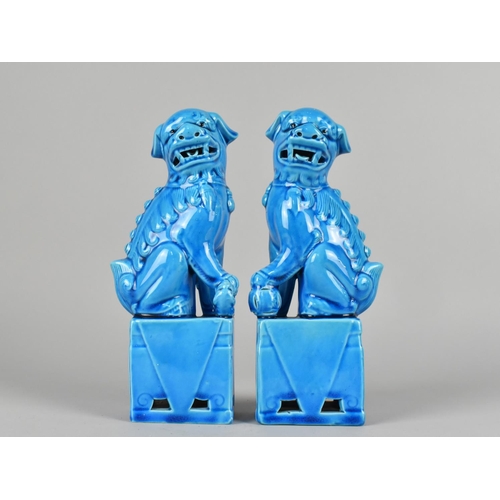 283 - A Pair of Chinese Porcelain Turquoise Glazed Studies of Temple Lions, 20cm high