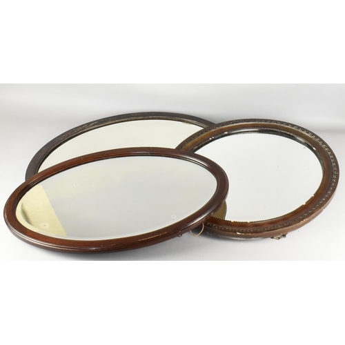 348 - Three Early 20th Century Oval Framed Mirrors, Largest 71cm wide