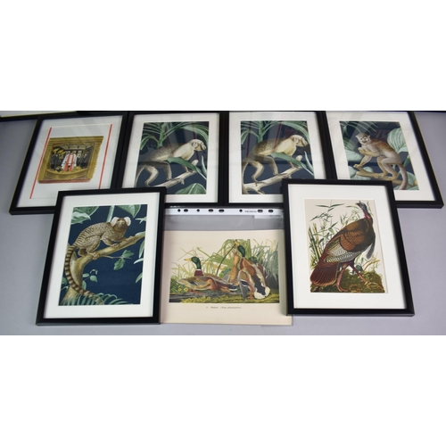 191 - A Collection of Eleven Framed and One Unframed Prints