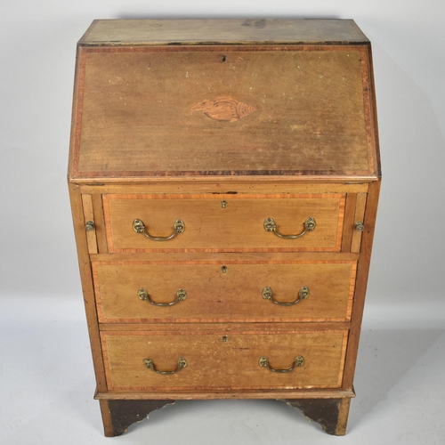 432 - An Edwardian Fall Front Bureau with Shell Inlaid Sloping Lid to Fitted Interior, Three Long Drawers ... 