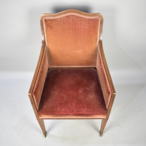 437 - An Edwardian String Inlaid Mahogany Framed Salon Armchair