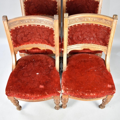 439 - A Set of Four Edwardian Carved Framed Velvet Upholstered Side Chairs for Reupholstery