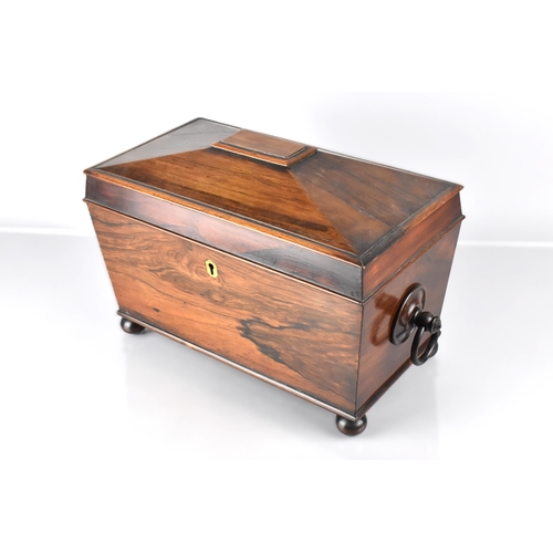 19 - A 19th Century Mahogany Sarcophagus Tea Caddy Raised on Four Bun Feet with Drop Ring Handles, the Hi... 