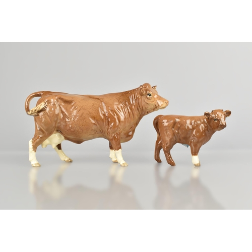 215 - A Beswick Limousin Cow, No.3075B BBC (Beswick Collectors Club 1998) Together with Limousin Calf, No.... 