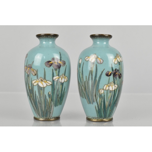 178 - A Pair of Japanese Cloisonne Vases Decorated with Flowers on Blue Ground, 8cm high, with Wooden Stan... 