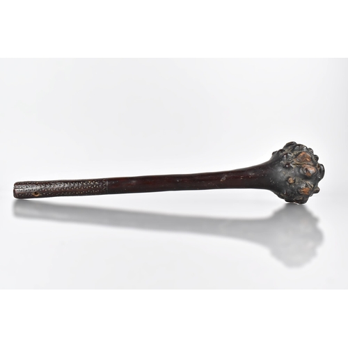 119 - A 19th Century Fijian Rootwood Ula or Throwing Club, the Handle with Incised Geometric Decorated Gri... 