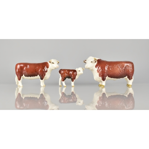 217 - A Beswick Hereford Bull, No.1363A, a Hereford Cow, No.1360 and a Hereford Calf, No. 1827c