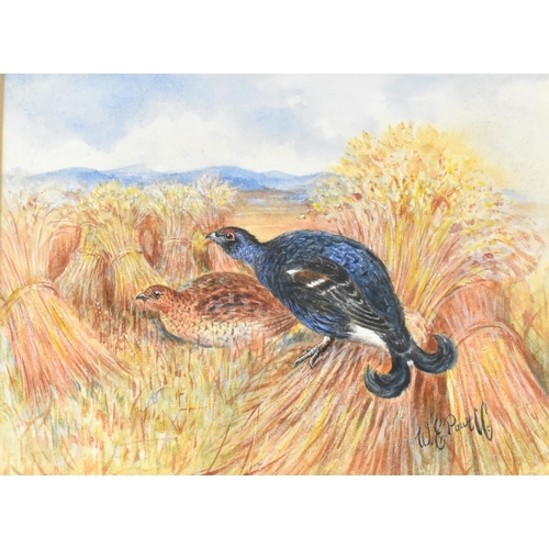 219 - William E. Powell (British 1878-1955), Game Bird Watercolour, Pair of Grouse in Field, Subject 19x14... 