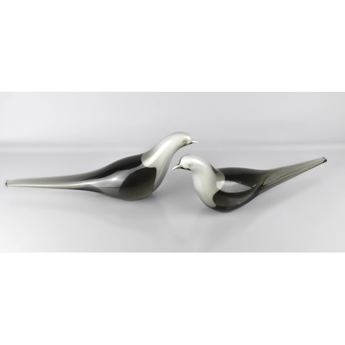 165 - A Pair of 20th Century Murano Glass Pigeons by Attilio Polato, Signed to Bases, 43cm x 15cm high