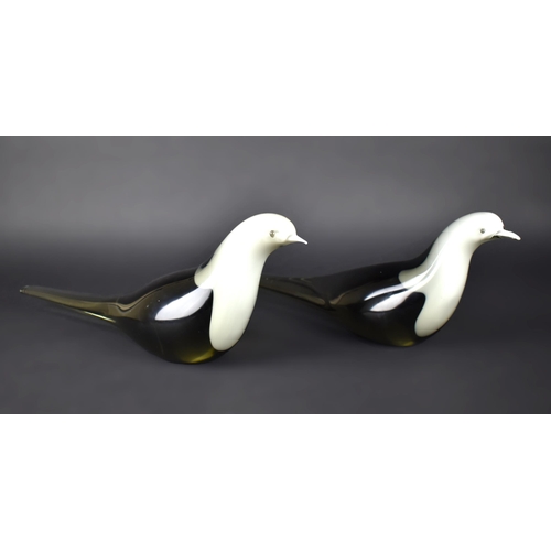 165 - A Pair of 20th Century Murano Glass Pigeons by Attilio Polato, Signed to Bases, 43cm x 15cm high