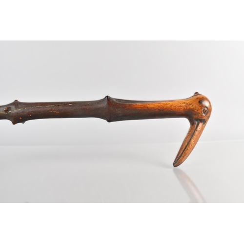 61 - A 19th Century Folk Art Walking Stick, the Carved Head Handle in the Form of a Primitive Bird's Head... 