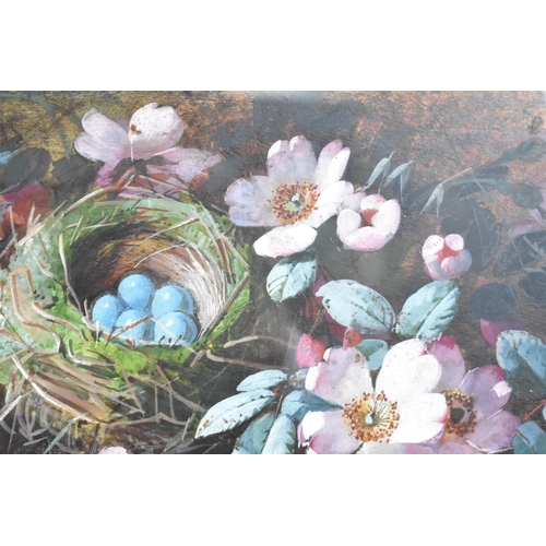 123 - A Framed Watercolour Depicting Flowers and Eggs in Birds Nest Signed H Connelly, 1905, 45x22cms