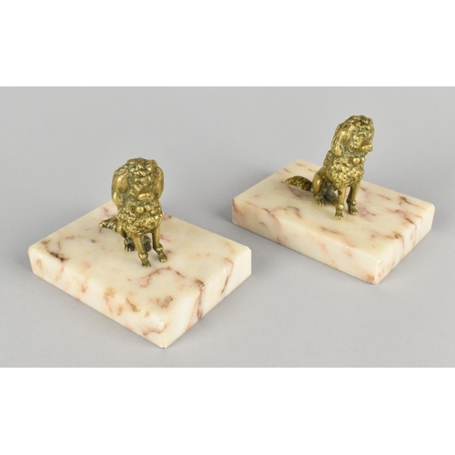 21 - A Pair of Brass Seated Poodles Mounted on Onyx Rectangular Bases, 9cms High