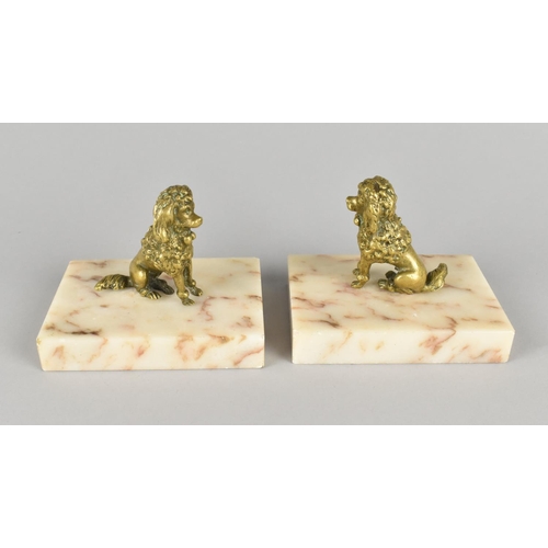 21 - A Pair of Brass Seated Poodles Mounted on Onyx Rectangular Bases, 9cms High