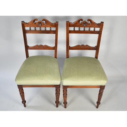 502 - A Pair of Edwardian Mahogany Framed Side Chairs