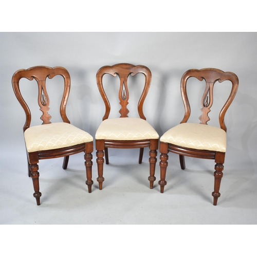 503 - A Set of Three Late Victorian Balloon Back Dining Chairs