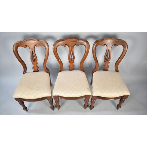 503 - A Set of Three Late Victorian Balloon Back Dining Chairs