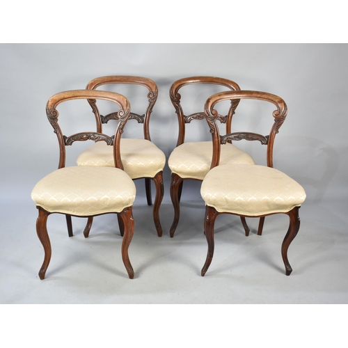 504 - A Set of Four Rosewood Framed Victorian Balloon Back Dining Chairs