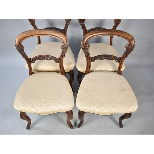 504 - A Set of Four Rosewood Framed Victorian Balloon Back Dining Chairs