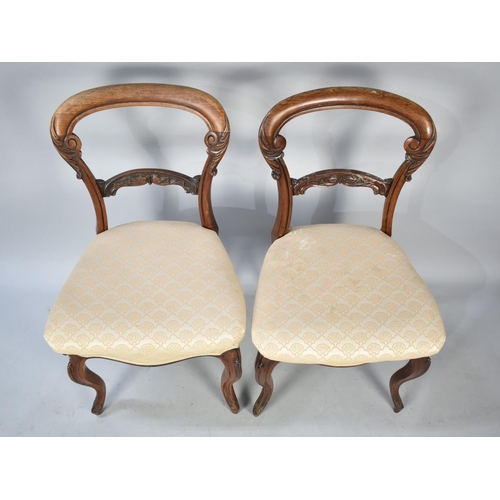 504 - A Set of Four Rosewood Framed Victorian Balloon Back Dining Chairs