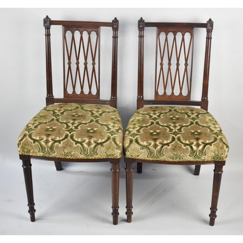 523 - A Pair of Edwardian Mahogany Framed Side Chairs