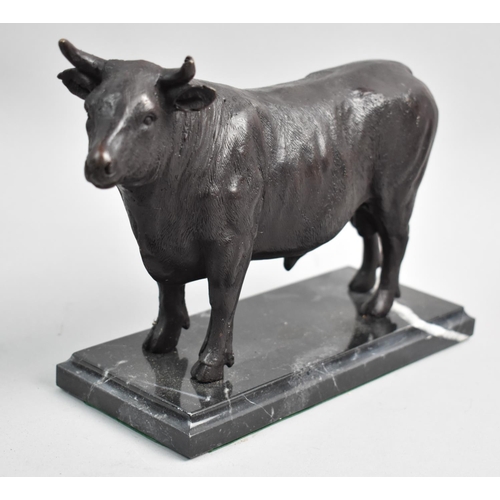 429 - A Bronze Study of a Continental Bull on Reconstituted Rectangular Marble Plinth, 21cms Wide