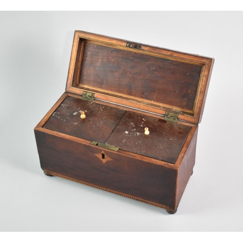 34 - A 19th Century Mahogany Two Division Tea Caddy with Inlaid Stringing, Rectangular Form, 24cms Wide