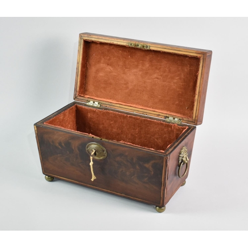 36 - A Mid 19th Century Flame Mahogany Sarcophagus Shaped Tea Caddy with Brass Lion Mask and Ring Handles... 