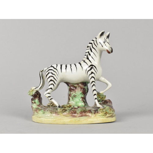 425 - A 19th Century Staffordshire Study of a Zebra on Oval Naturalistic Base, 12cm high