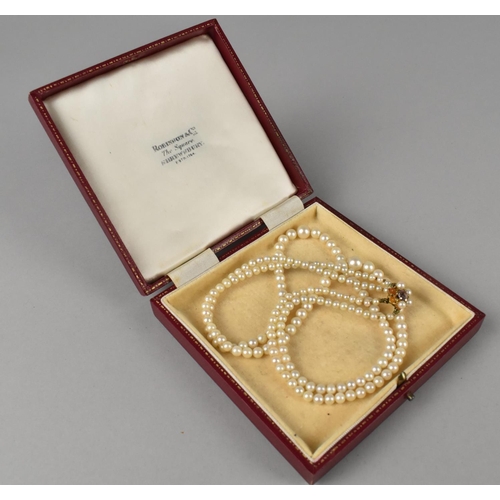 494 - A Nice Quality Two Row String of Pearls, Largest 7.5mm Wide on a 9ct Gold, Pearl and Amethyst Mounte... 