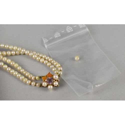 494 - A Nice Quality Two Row String of Pearls, Largest 7.5mm Wide on a 9ct Gold, Pearl and Amethyst Mounte... 