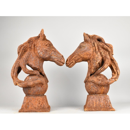 524 - A Pair of Cast Iron Gate or Post Finials in the Form of Horses Heads, 47cms High, Deliberately Ruste... 