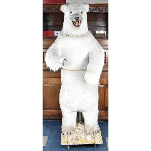 620 - A Full Size Replica Sectional Model of a Polar Bear on Trolley Base, 200cms High Overall