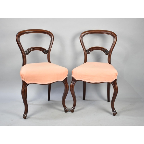 626 - A Pair of Mahogany Balloon Back Chairs