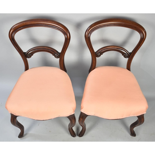 626 - A Pair of Mahogany Balloon Back Chairs