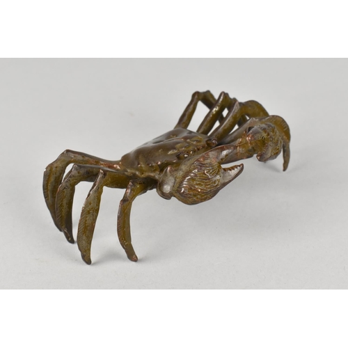 70 - A Patinated Bronze Study of a Crab, Pincers Raised, 12cms Wide