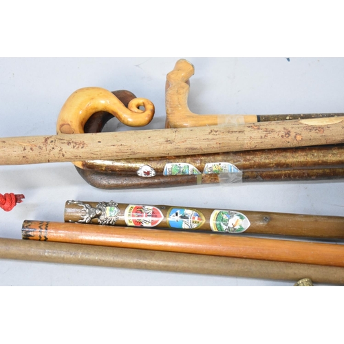 553 - A Large Collection of Various Walking Sticks, Condition issues