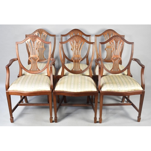 474 - A Set of Six Reproduction Mahogany Framed Shield Back Dining Chairs with Pierced Wheatsheaf Splats t... 