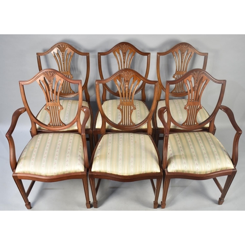 474 - A Set of Six Reproduction Mahogany Framed Shield Back Dining Chairs with Pierced Wheatsheaf Splats t... 