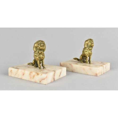 62 - A Pair of Gilt Bronze Seated Poodles Mounted on Onyx Rectangular Bases, 9cms High