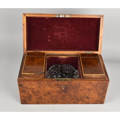 3 - A 19th Century Burr Walnut Tea Caddy, the Hinged Lid Opening to Reveal Three Section Fitted Interior... 