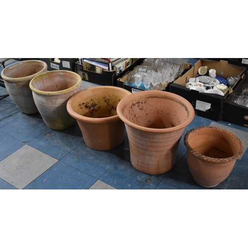 446 - Five Large Terracotta Planters, Largest 41x36cms