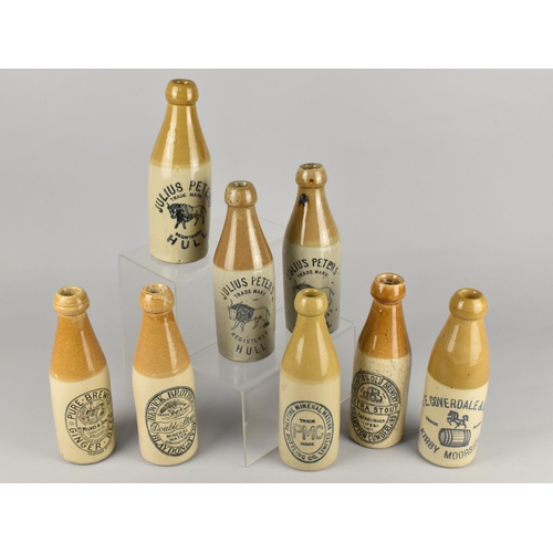 Eight Vintage Stoneware Ginger Beer Bottles to Comprise Three Julius Peters - Hull, F. E. Coverdale - Kirkbymoorside, Bewick Brothers - Blaydon on Tyne, Milnes & Son - Bradford, Palatine Mineral Waters Limited and Brampton Old Brewery - Brampton Cumberland