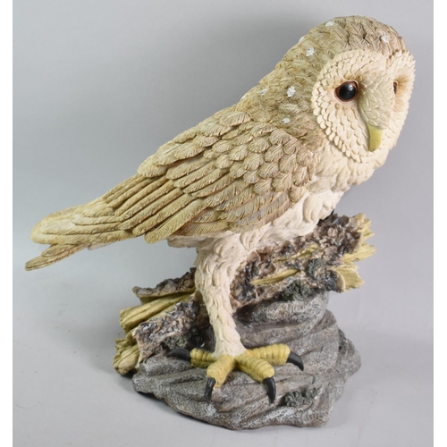 171 - A Large Study of a Barn Owl, 39cms High