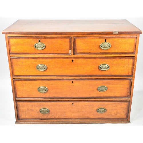 495 - A Crossbanded Oak Chest of Two Short and Three Long Drawers, 107cms Wide, In Need of Some Attention