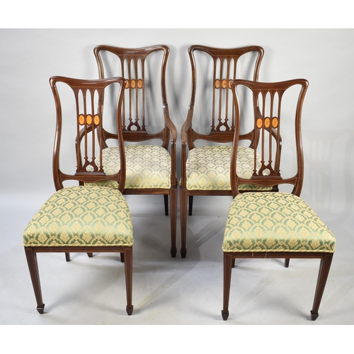 512 - A Set of Four Edwardian Inlaid Salon Chairs to include Two Armchairs