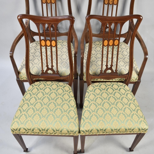 512 - A Set of Four Edwardian Inlaid Salon Chairs to include Two Armchairs