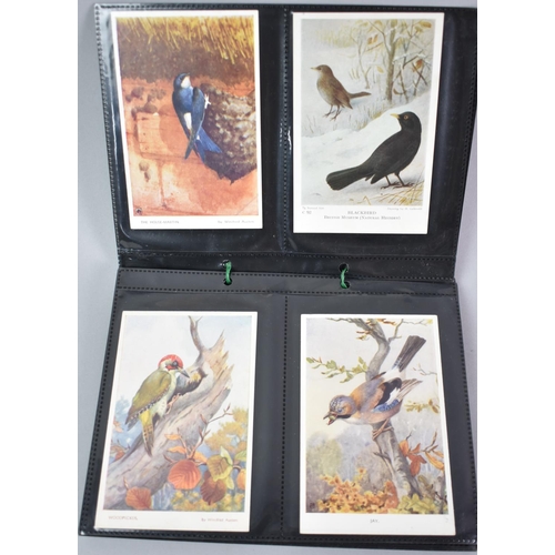 54 - A Collection of 56 Vintage Bird Postcards